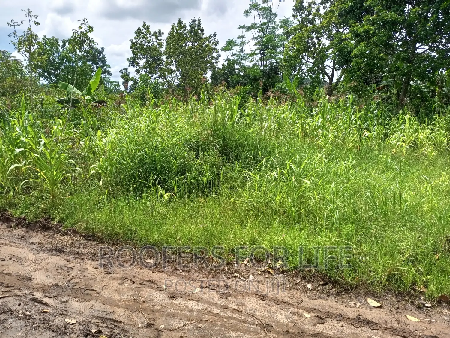 50*100 Plot for Sale in Kakiri