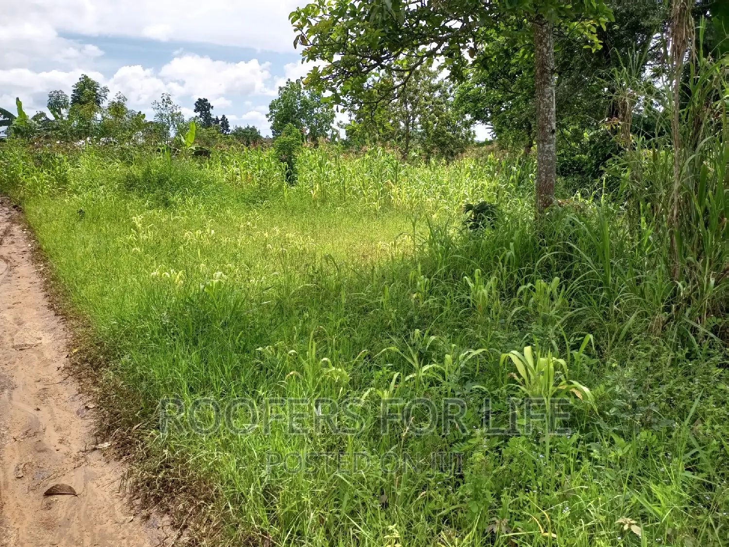 50*100 Plot for Sale in Kakiri