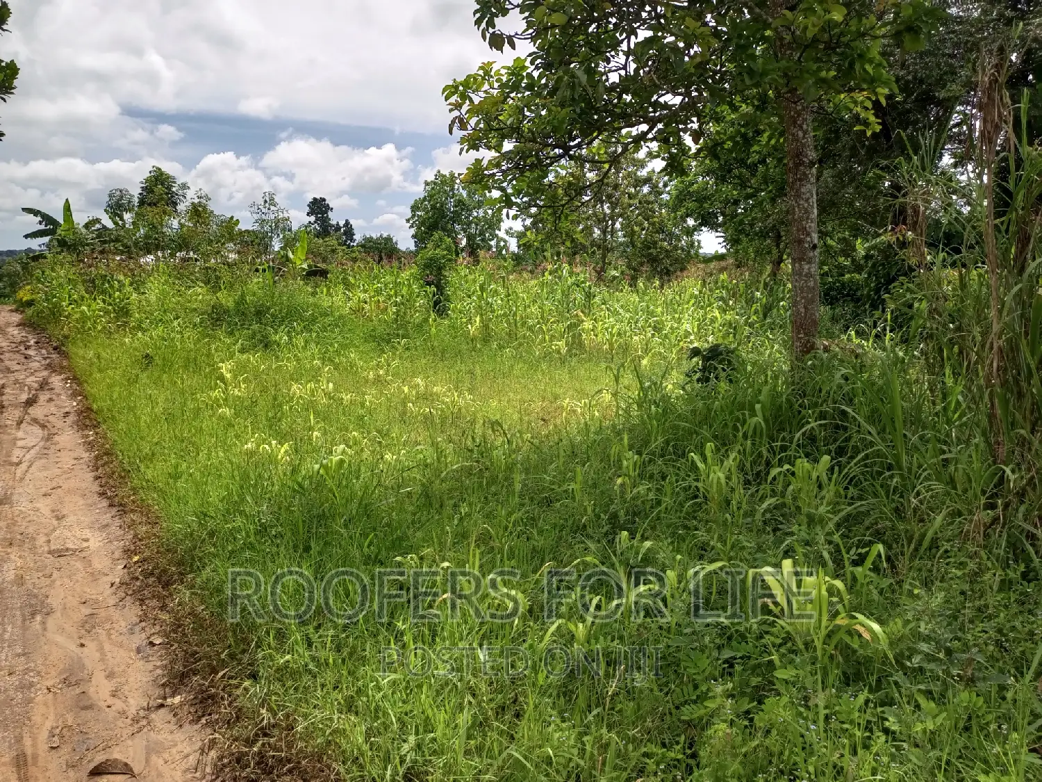 50*100 Plot for Sale in Kakiri