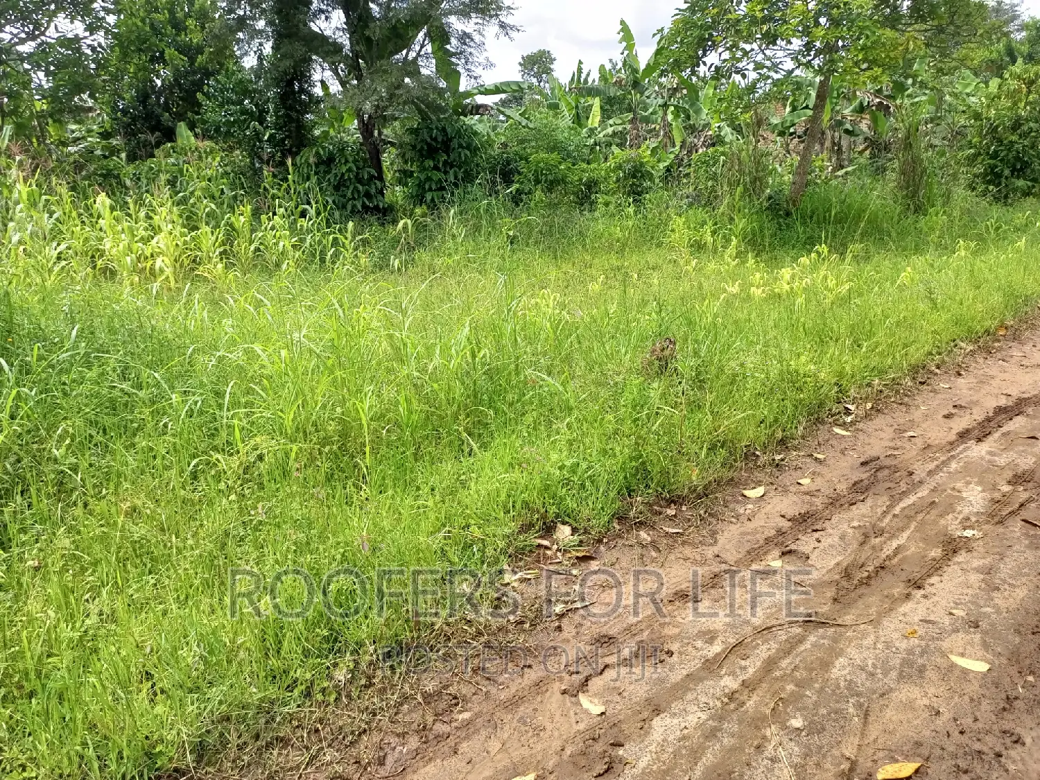 50*100 Plot for Sale in Kakiri