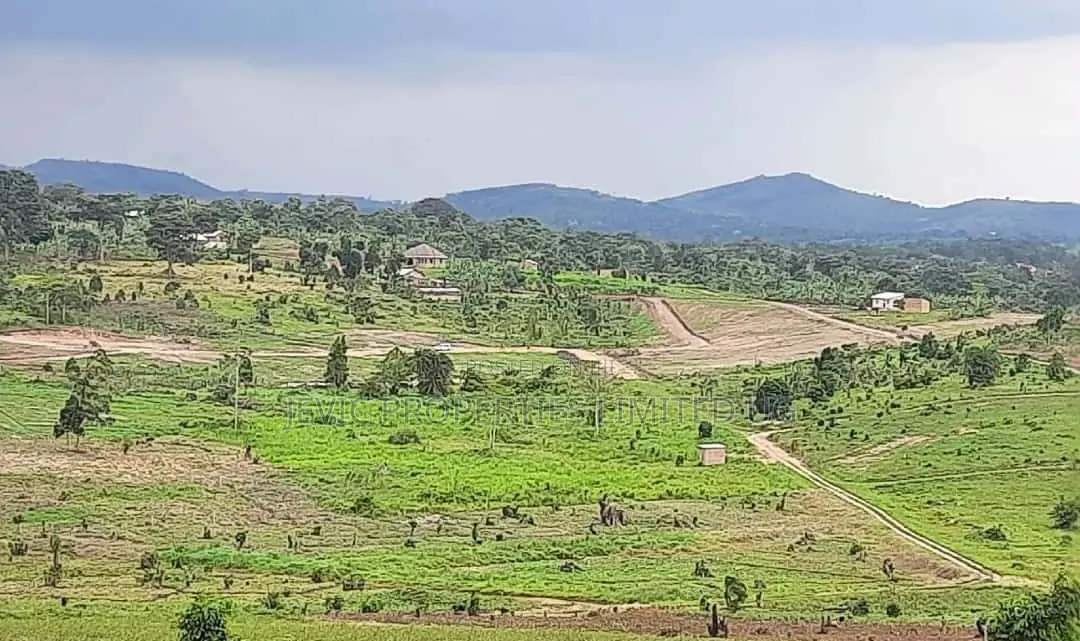 Hot Sale Plots at Kakiri Gobero-Wakiso on Termac in Wakiso / Wakiso