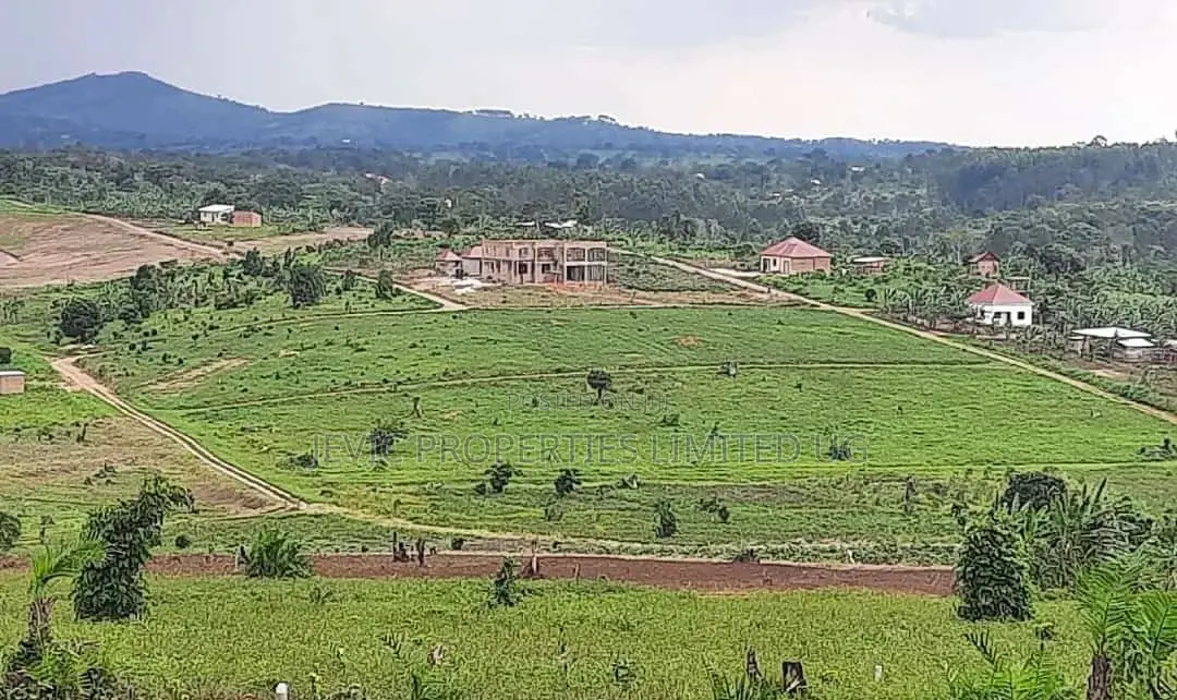 Hot Sale Plots at Kakiri Gobero-Wakiso on Termac in Wakiso / Wakiso