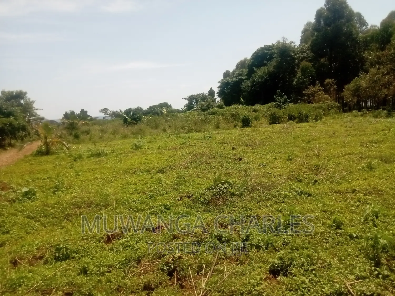4acres of Land for Sale in Garuga in Division B