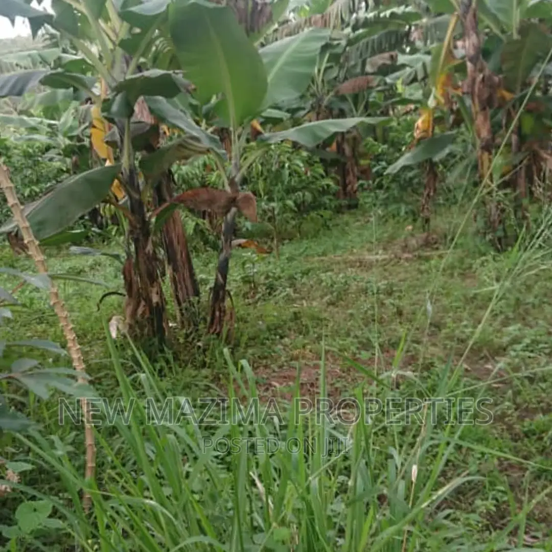 17 Decimals Quicksale in Heart of Rubaga Division Bunamwaya in Central Division