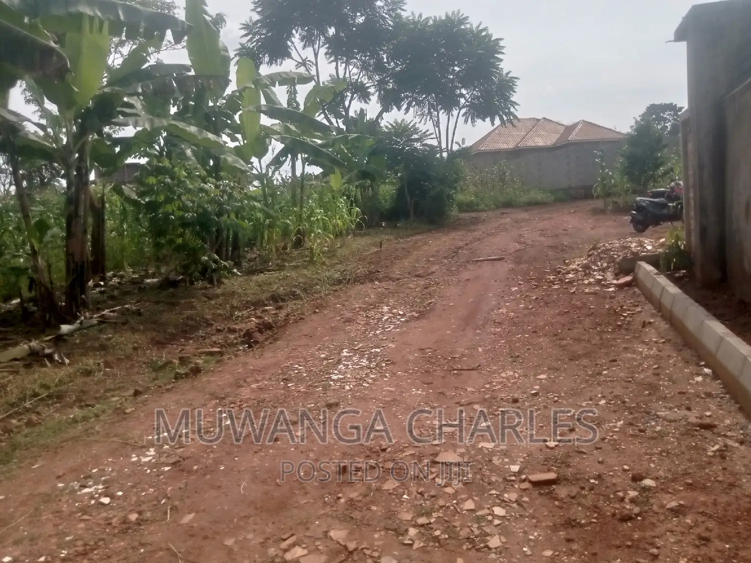 Plot's Available for Sale at Busukuma in Central Division