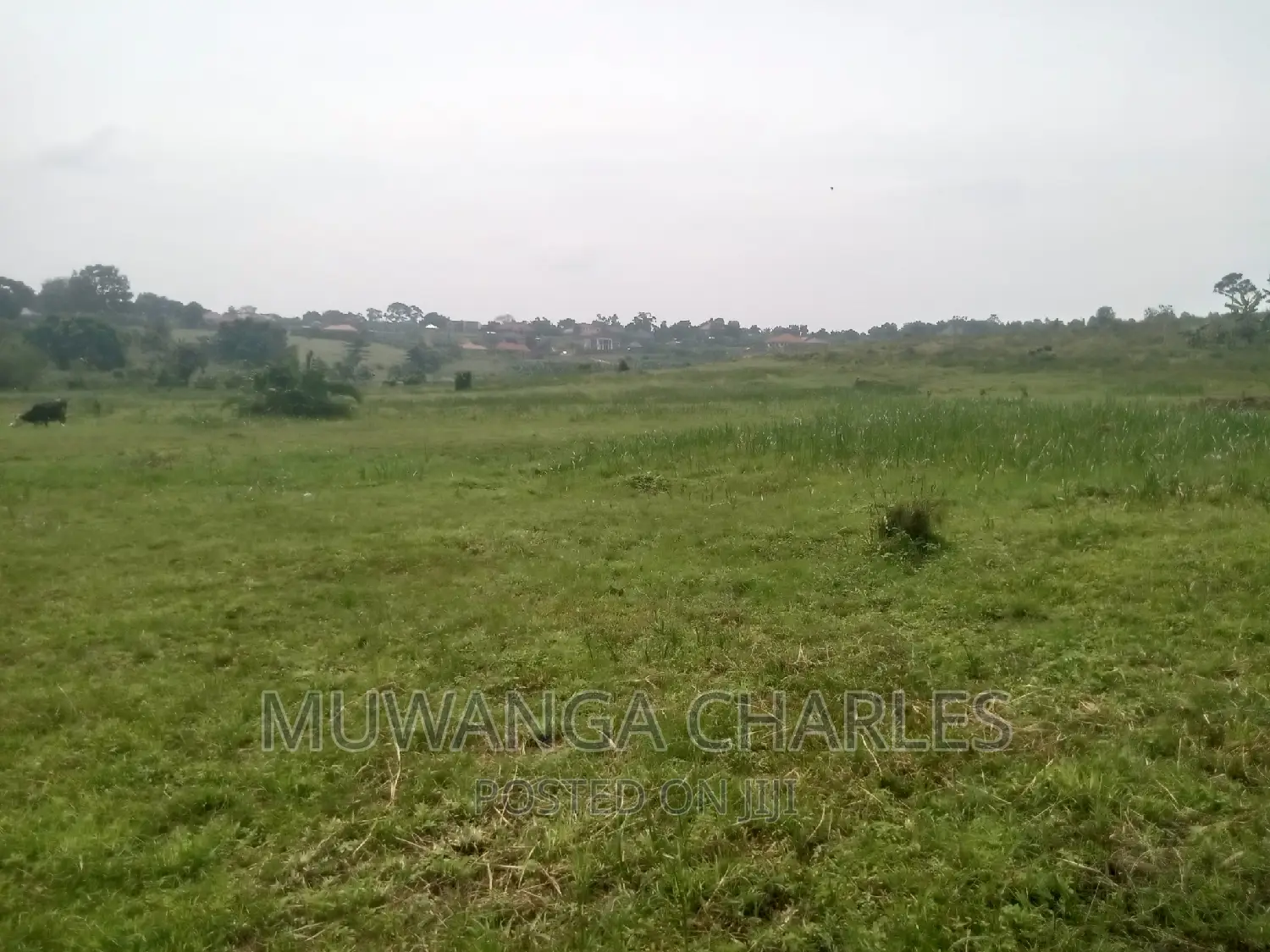 Plot's Available for Sale at Kasangati in Central Division