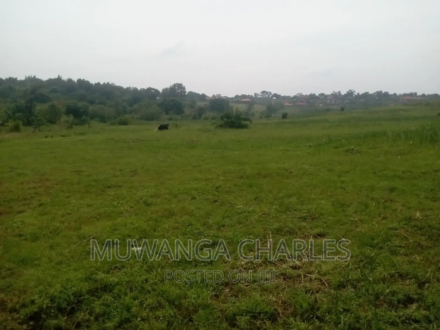 Plot's Available for Sale at Kasangati in Central Division