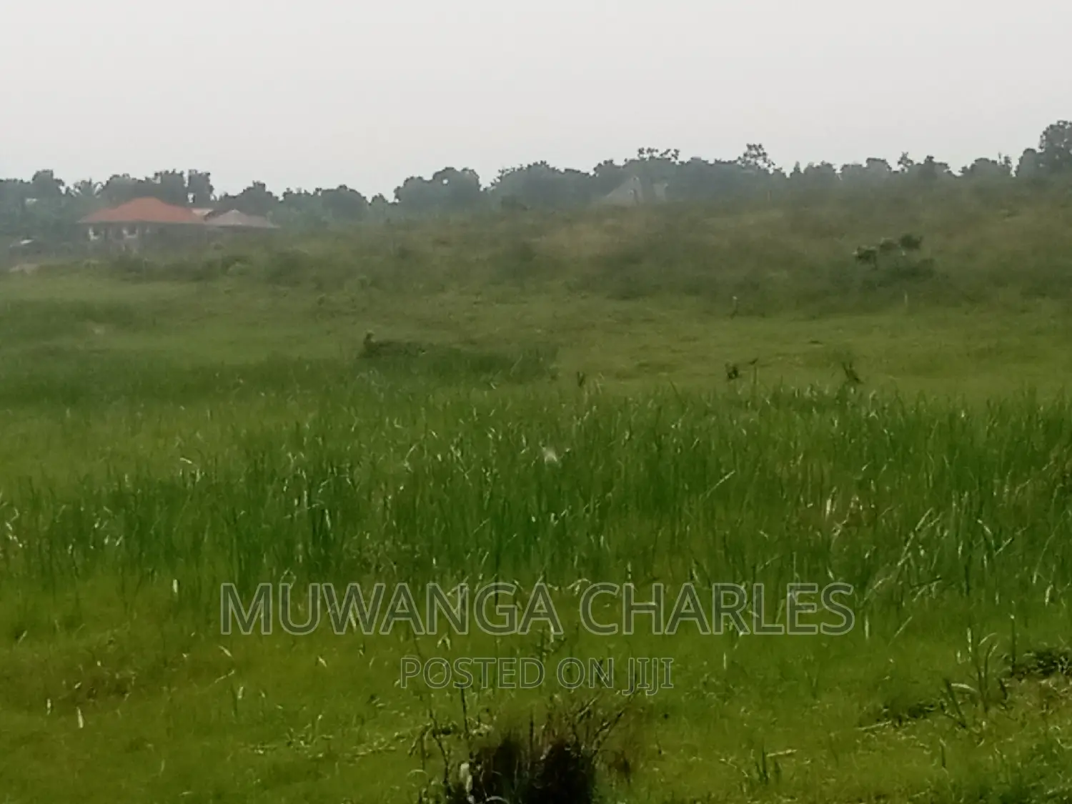 100by50ft Plot of Land for Sale Kasangati Mawule in Central Division