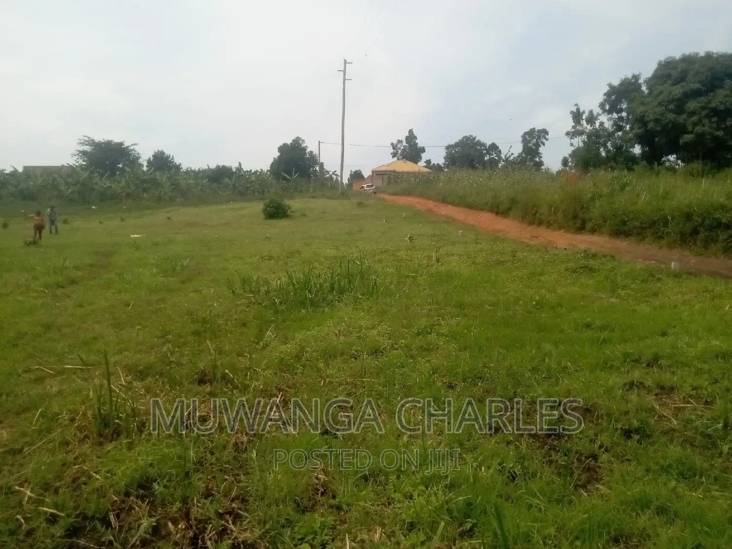 100by50ft Plot of Land for Sale Kasangati Mawule in Central Division