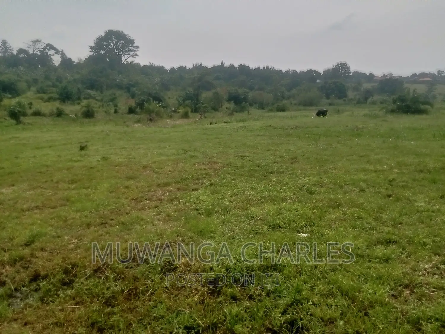 100by50ft Plot of Land for Sale Kasangati Mawule in Central Division