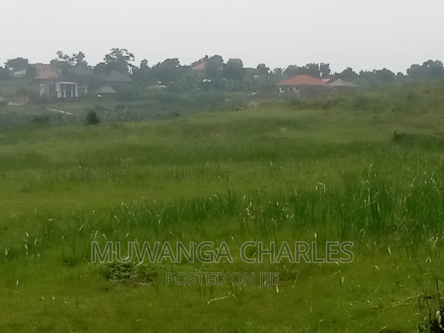 100by50ft Plot of Land for Sale Kasangati Mawule in Central Division