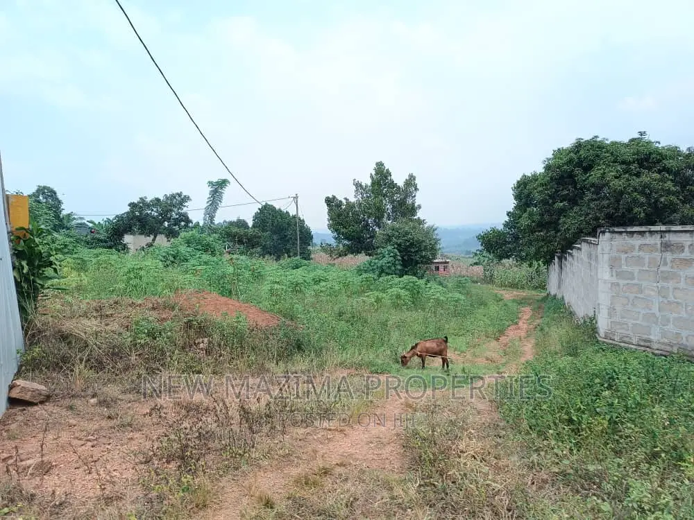 Plots With Ready Private Title Quicksale Namugongo Bukerere in Division A