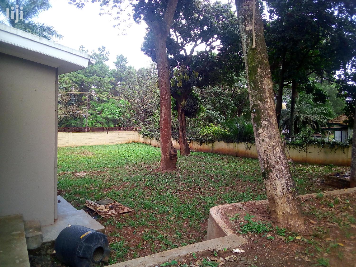 Stand Alone House For Office in Kampala