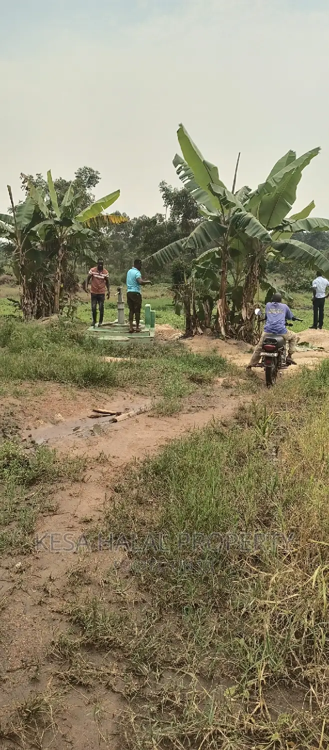 2 Plots Remained 50X100 Just 6M Kalule It Has Water Source in Bombo TC