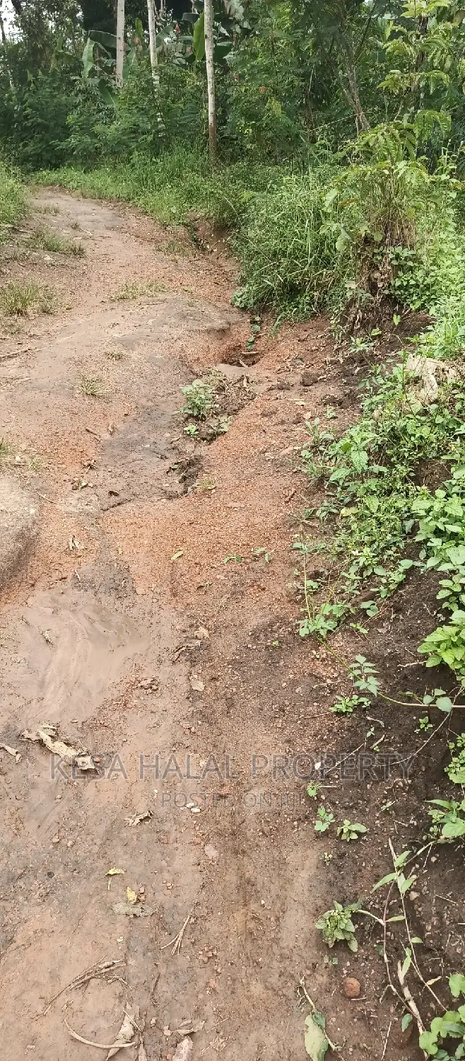 2 Plots Remained 50X100 Just 6M Kalule It Has Water Source in Bombo TC