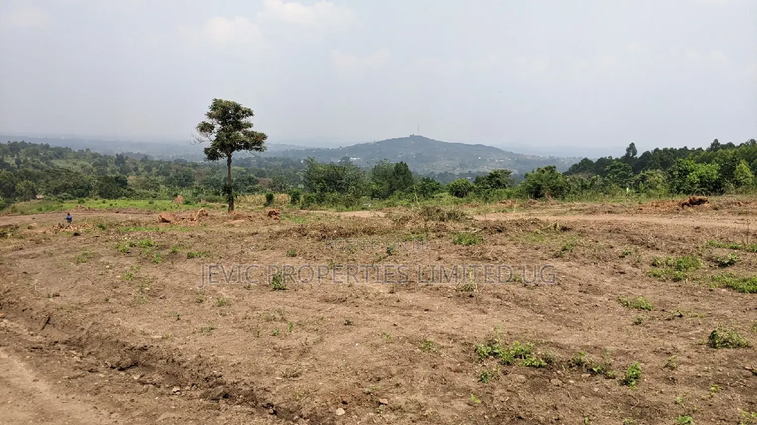 Own a Plot of Land in Our New Estate of Gobero Katake in Wakiso / Wakiso