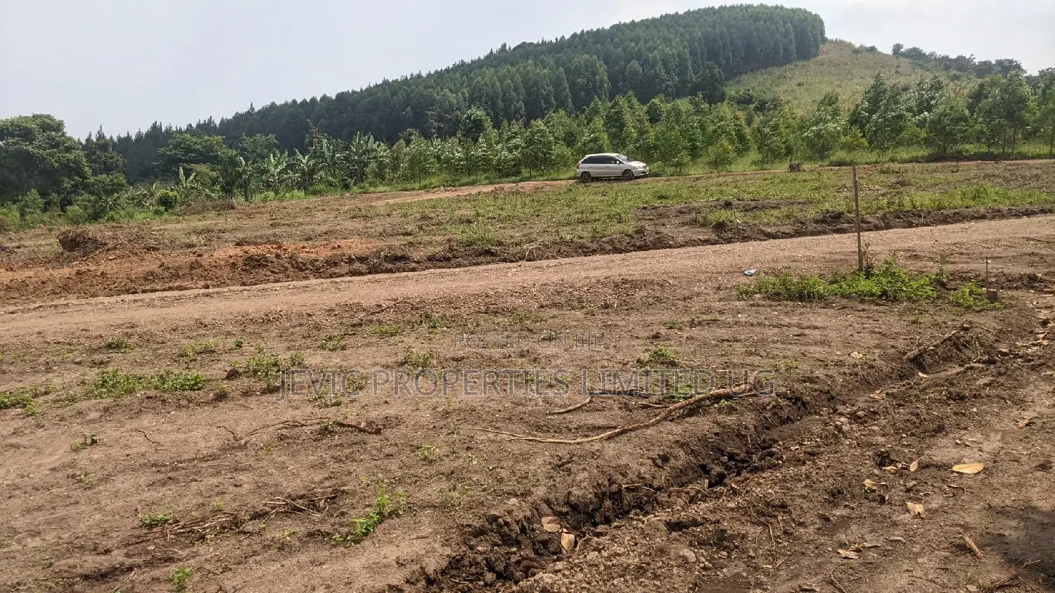Own a Plot of Land in Our New Estate of Gobero Katake in Wakiso / Wakiso