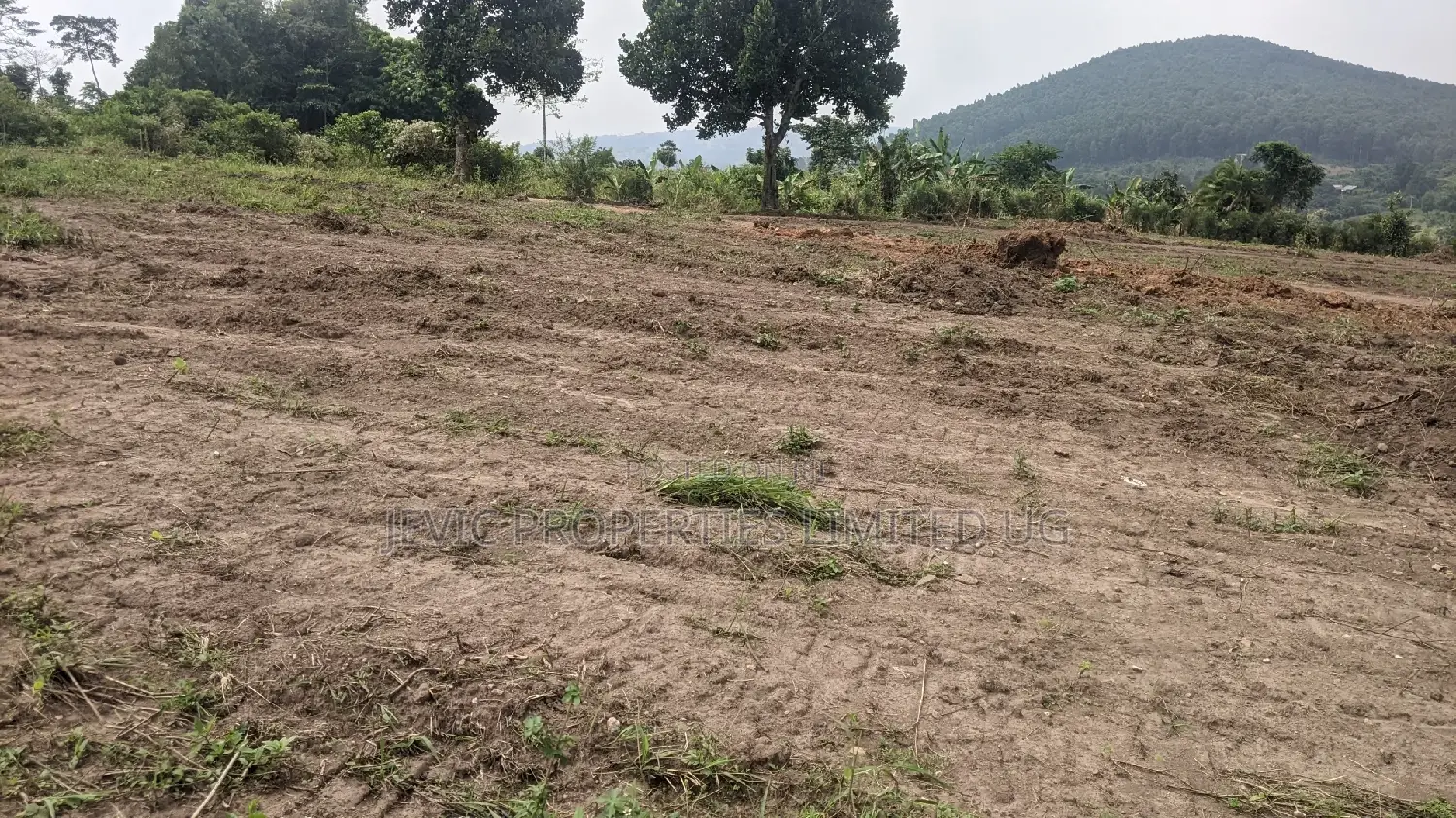 New Plots in the Gobero Katake Estate in Wakiso / Wakiso