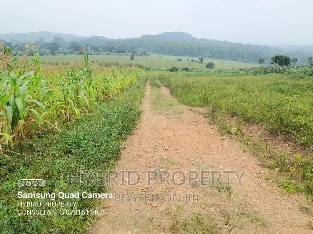 Prime Plots for Sale at Kaliiti~Kakiri Land Estate~Hoima Rd. in Kakiri