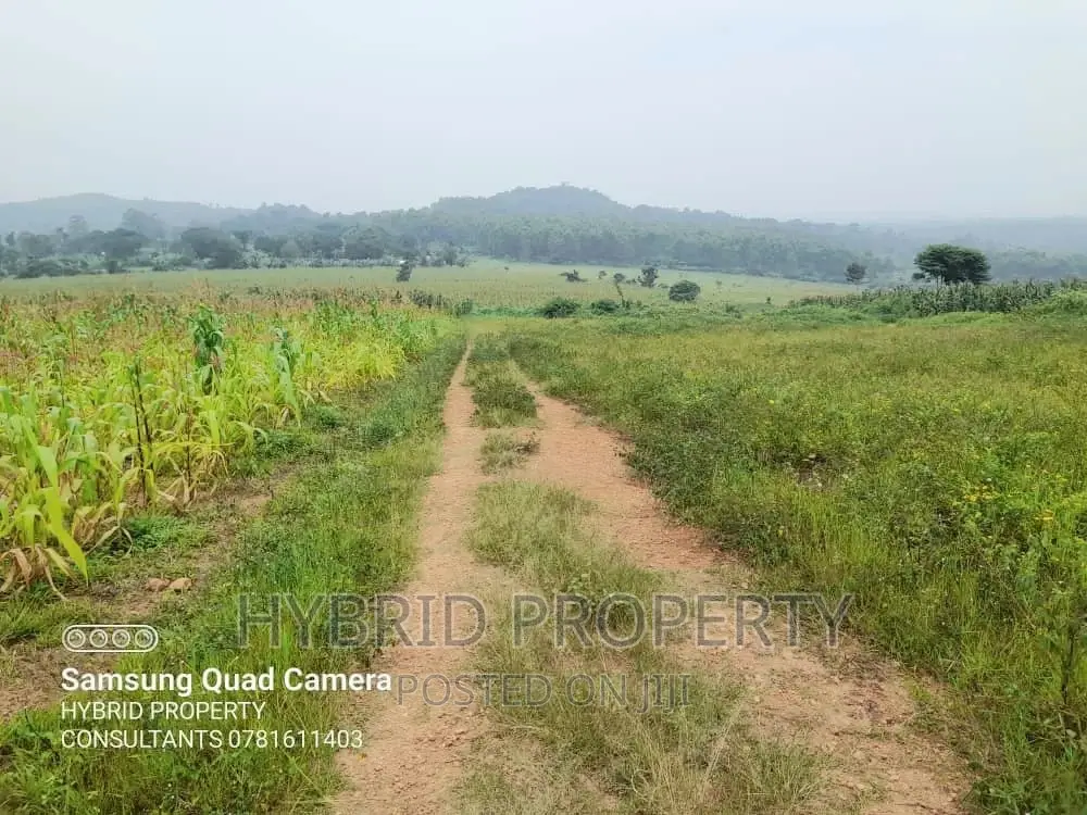 Prime Plots for Sale at Kaliiti~Kakiri Land Estate~Hoima Rd. in Kakiri
