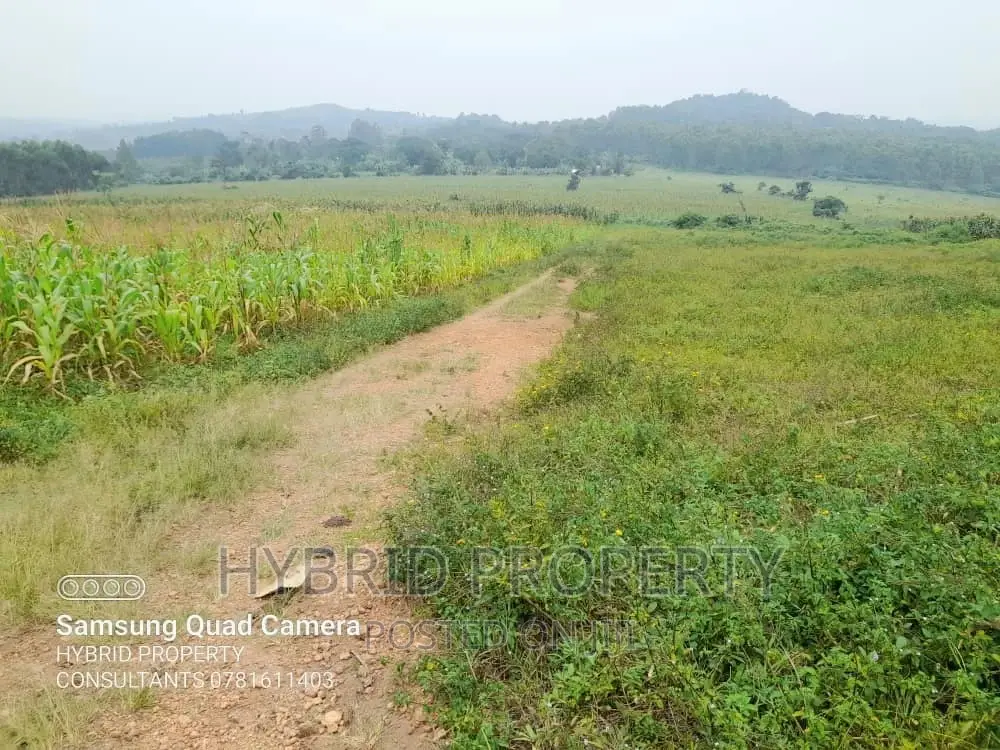 Prime Plots for Sale at Kaliiti~Kakiri Land Estate~Hoima Rd. in Kakiri