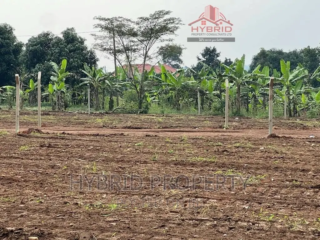 Prime Plots for Sale Gayaza~Kiwenda [Balita]~Gayaza Road II. in Busukuma