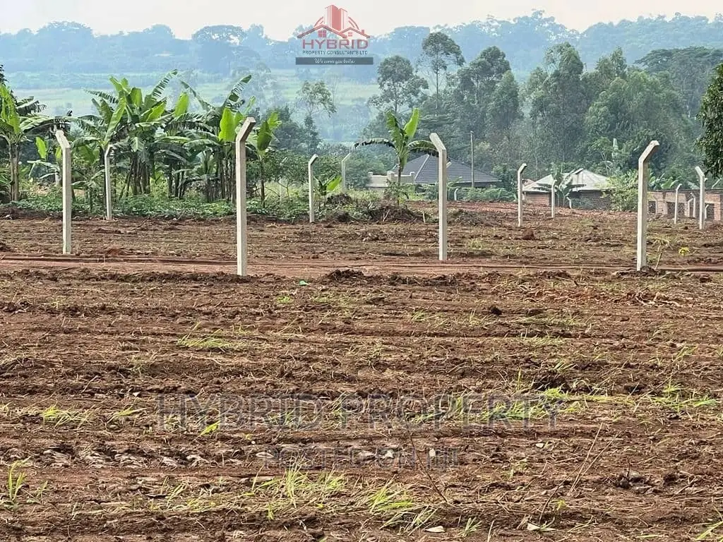 Prime Plots for Sale Gayaza~Kiwenda [Balita]~Gayaza Road II. in Busukuma