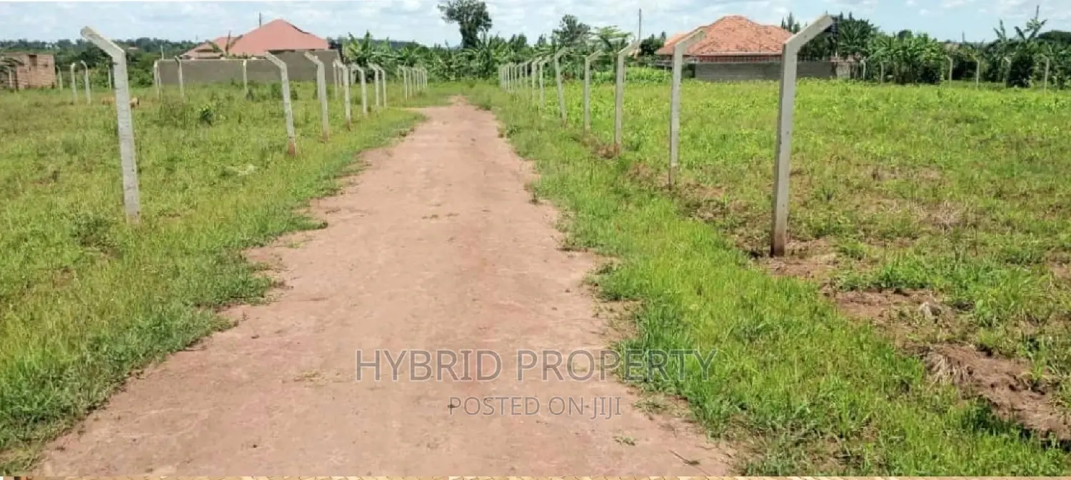 Prime Plots for Sale at Busiika~Wabikokoma Along Gayaza Road in Kalagala