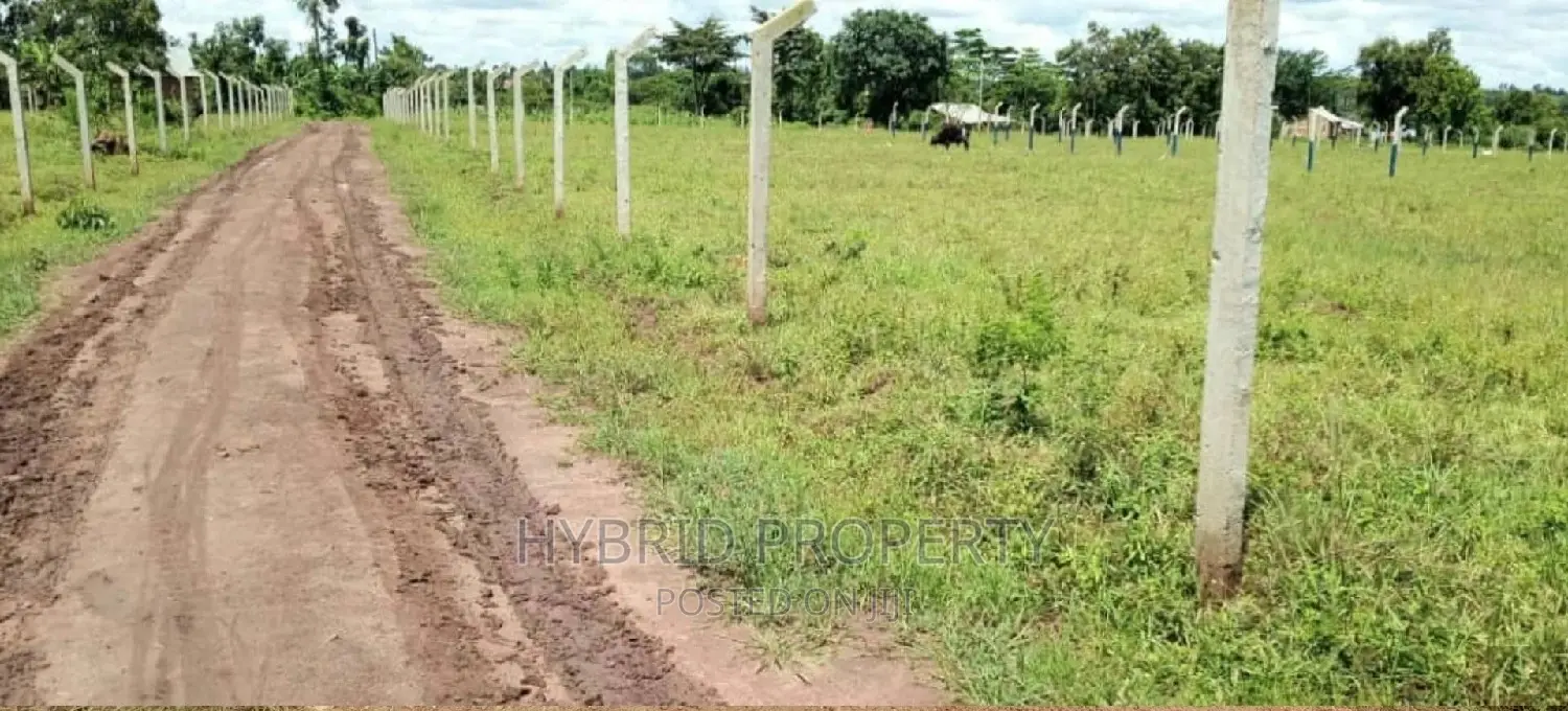 Prime Plots for Sale at Busiika~Wabikokoma Along Gayaza Road in Kalagala