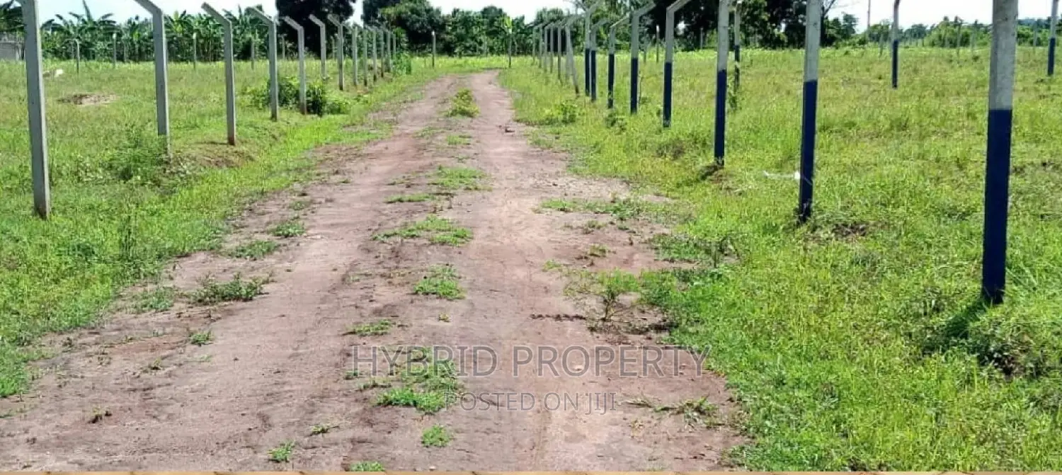 Prime Plots for Sale at Busiika~Wabikokoma Along Gayaza Road in Kalagala