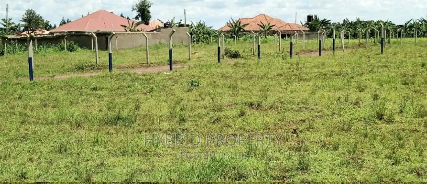 Prime Plots for Sale at Busiika~Wabikokoma Along Gayaza Road in Kalagala