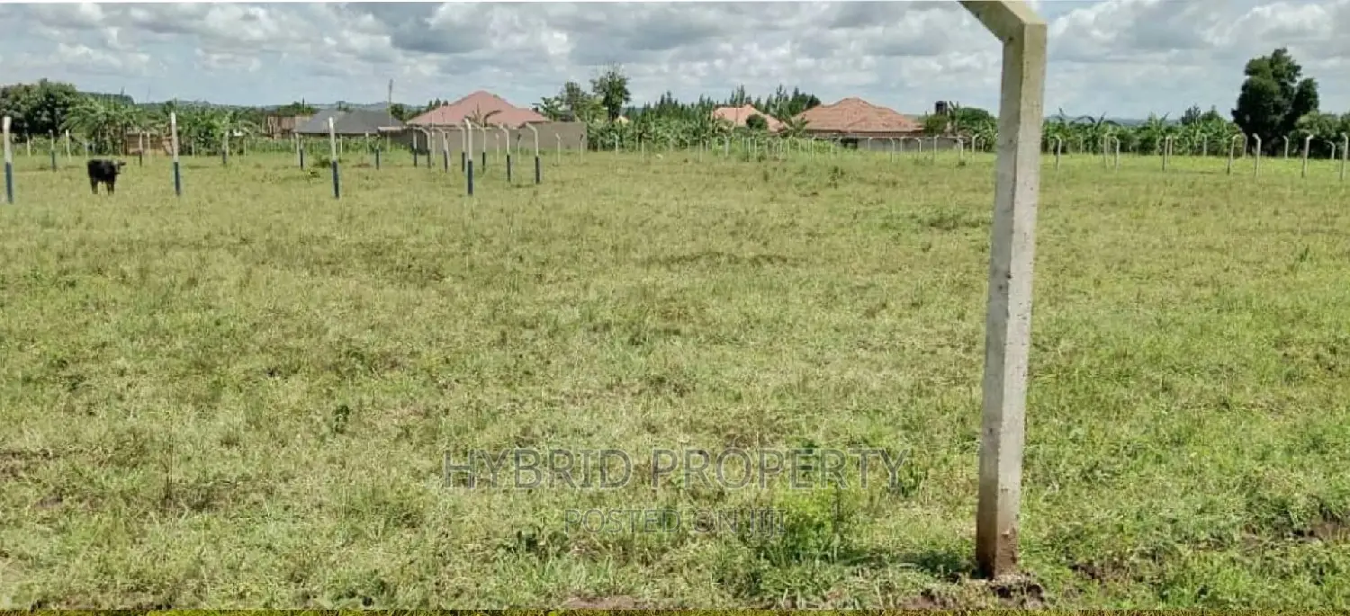 Prime Plots for Sale at Busiika~Wabikokoma Along Gayaza Road in Kalagala
