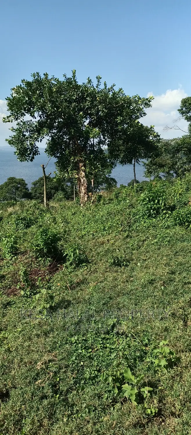 Good 100 Acre at Buyikwe Just 35m Good View Touching Lake in Ntenjeru / Mukono