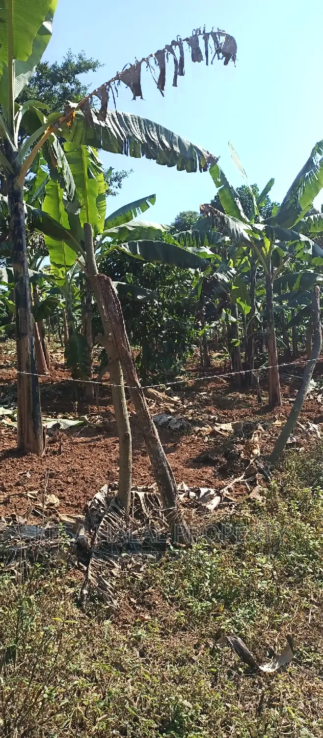 Good 100 Acre at Buyikwe Just 35m Good View Touching Lake in Ntenjeru / Mukono