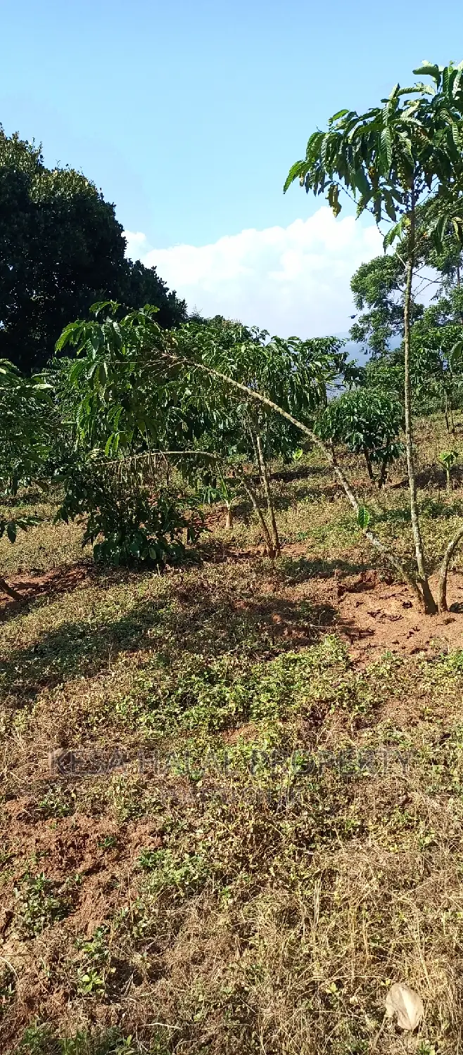 Good 100 Acre at Buyikwe Just 35m Good View Touching Lake in Ntenjeru / Mukono