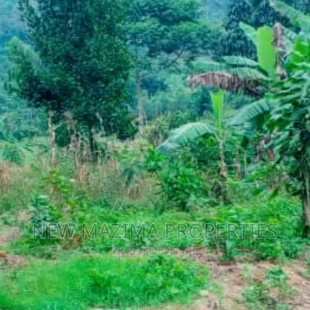 Arleady Private Mile Titled Plots Onsale in Heart of Matuga in Division A