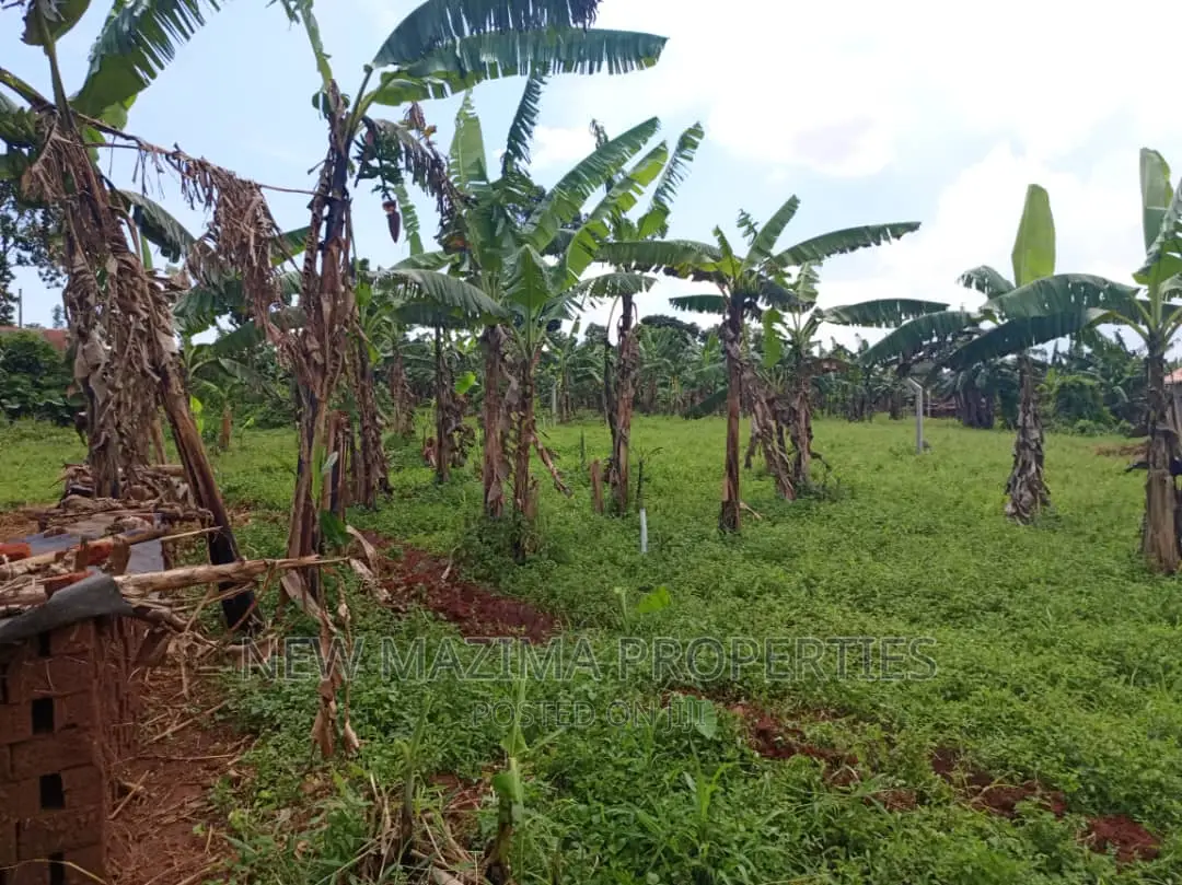 Arleady Private Mile Titled Plots Onsale Inheart of Nansana in Division A