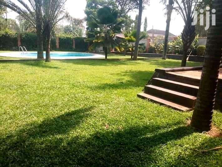 Four Bedroom House In Bugolobi For Rent in Kampala