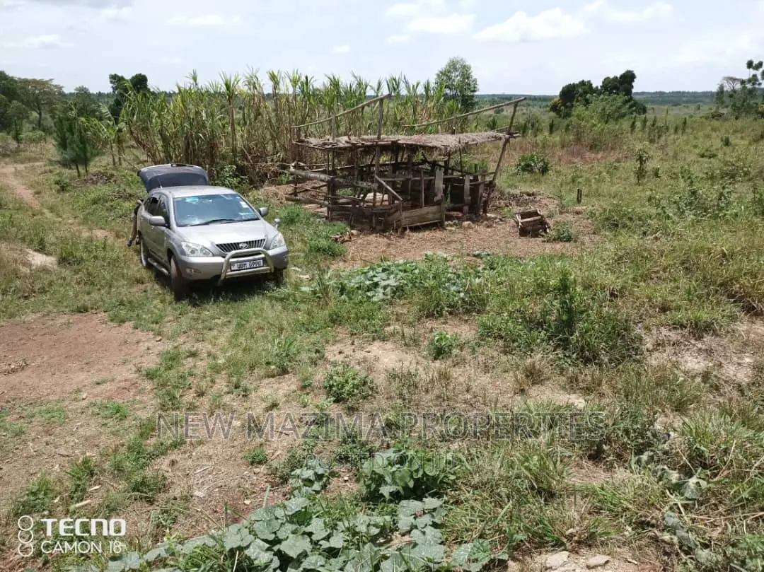 Luwero Katugo Nakasongola in Division A