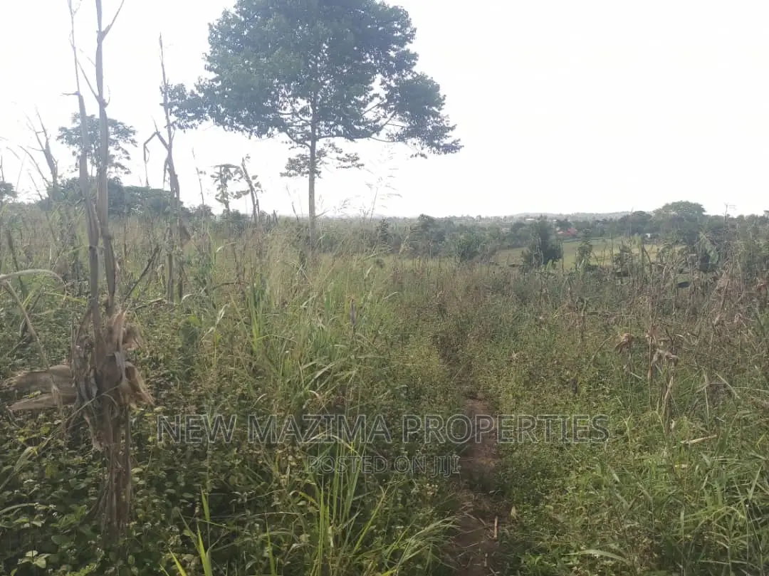 30 Decimals on Forced Sale in Heart of Matuga Gombe Titled in Division A