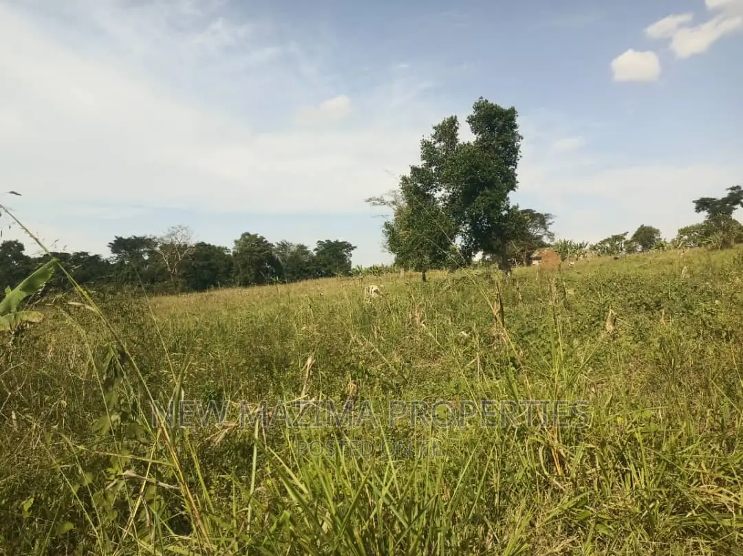 30 Decimals on Forced Sale in Heart of Matuga Gombe Titled in Division A