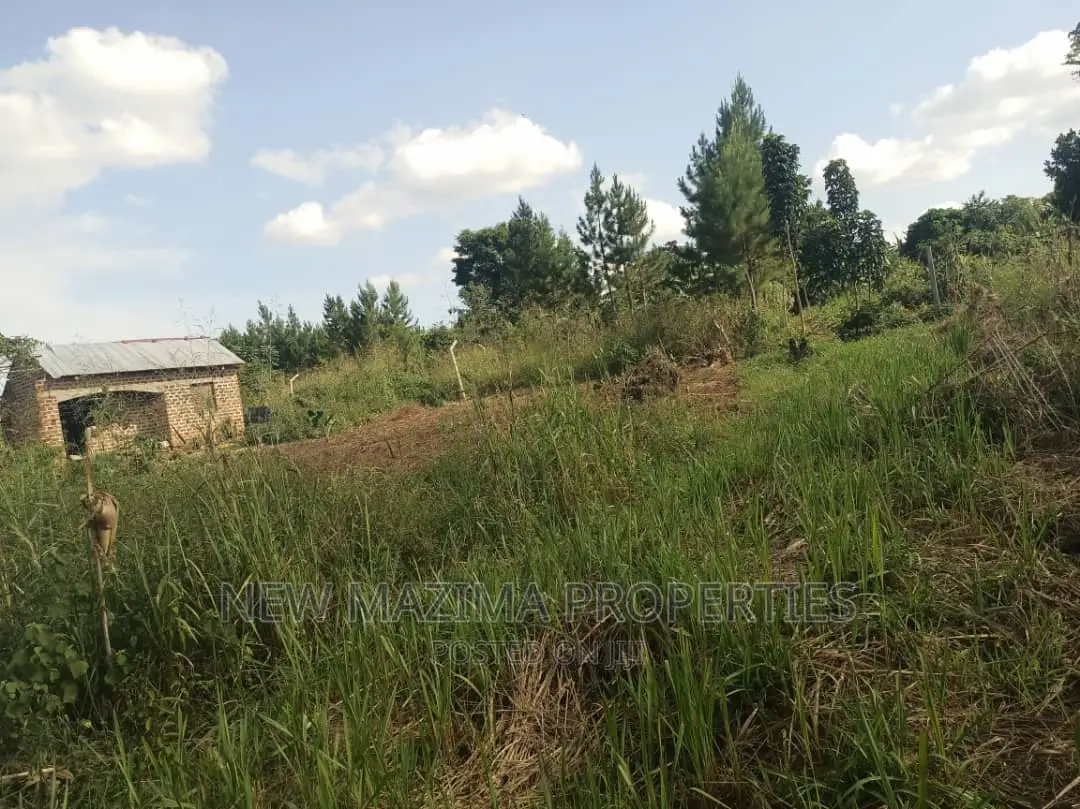 30 Decimals on Forced Sale in Heart of Matuga Gombe Titled in Division A