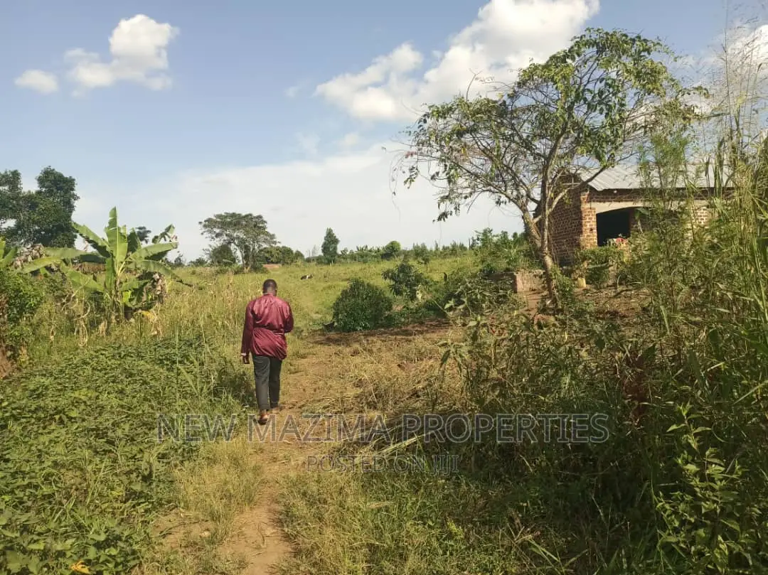 30 Decimals on Forced Sale in Heart of Matuga Gombe Titled in Division A