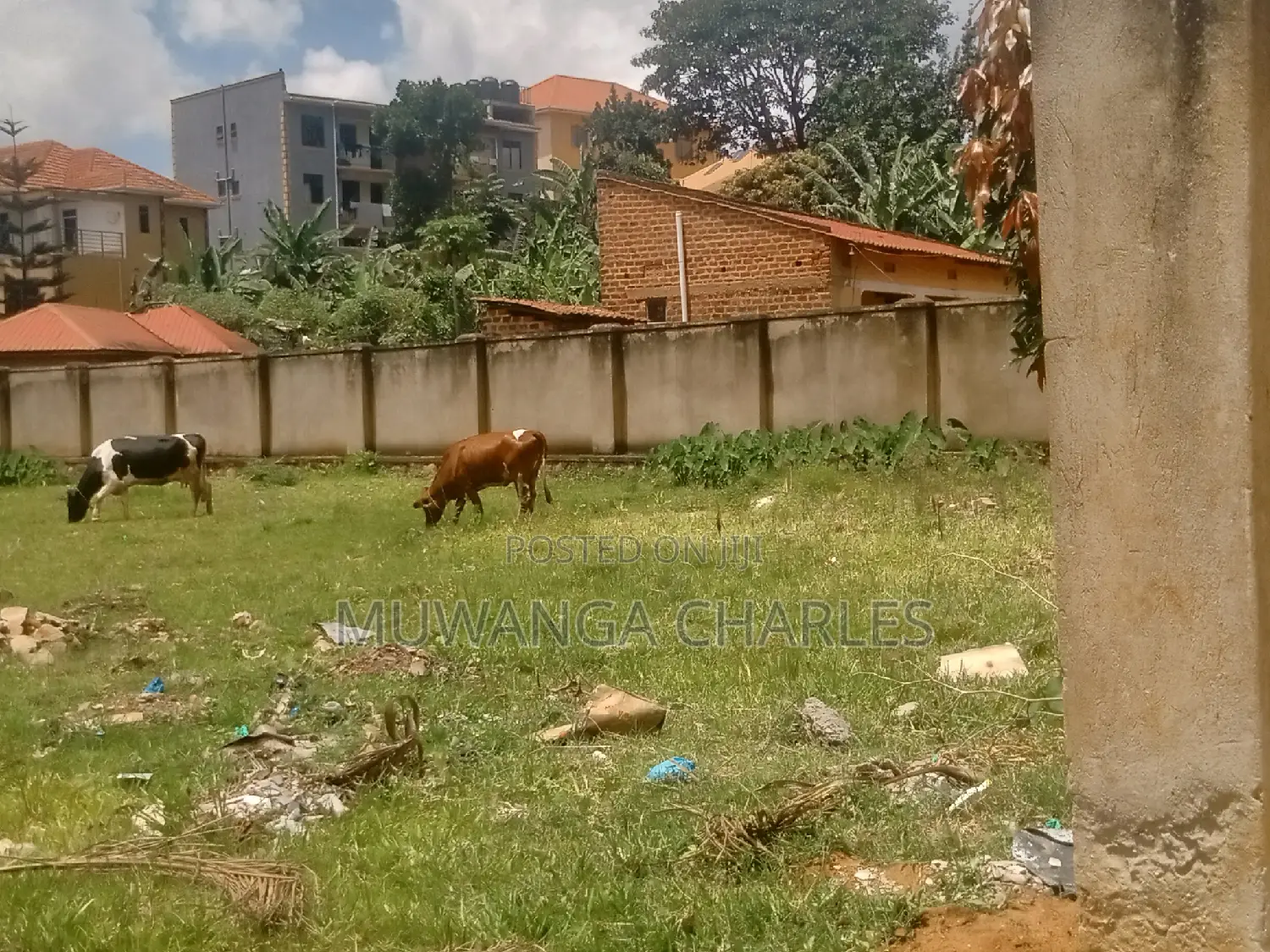 20decimals of Land for Sale in Kungu in Central Division