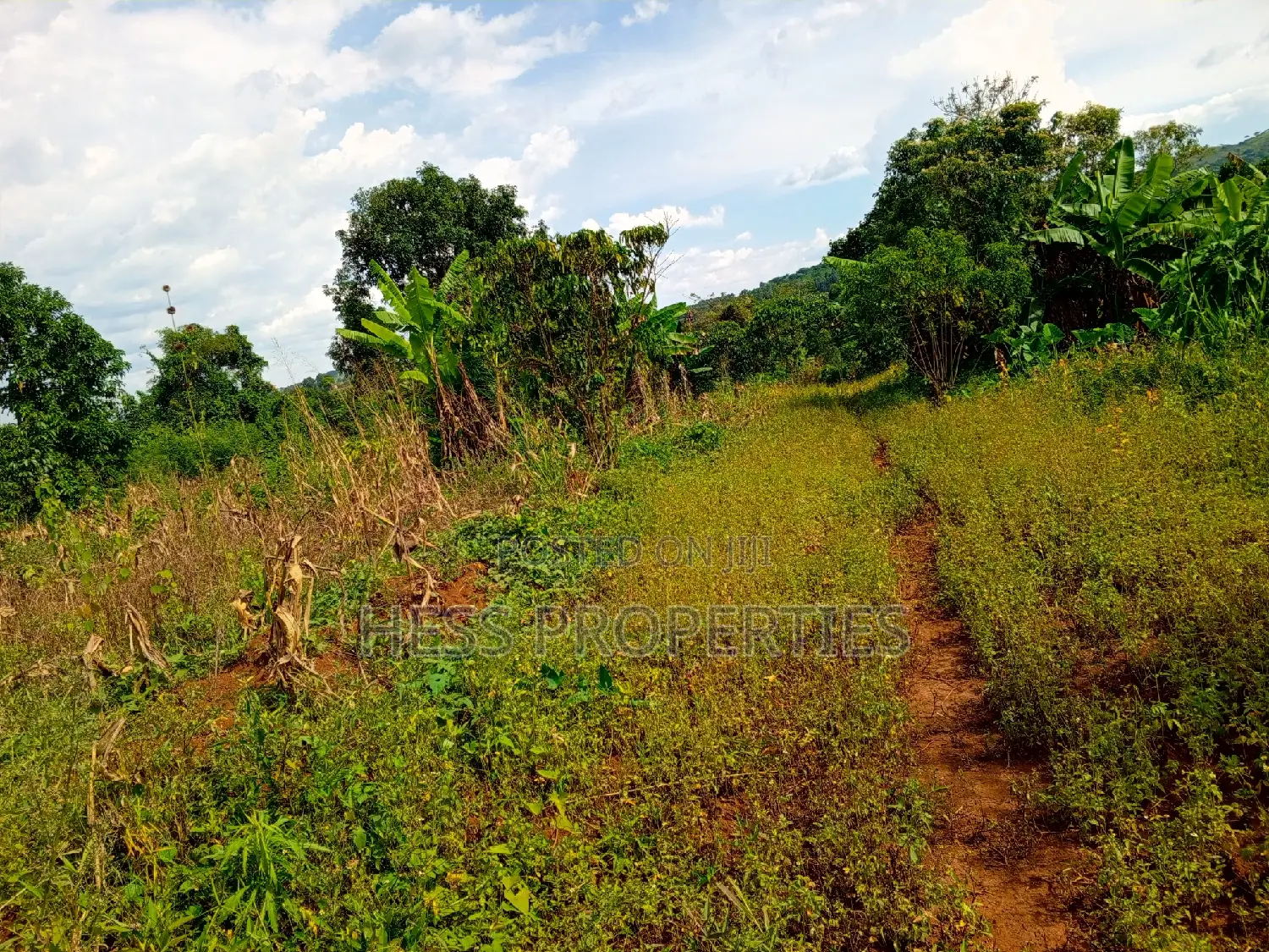 5acres of Titled Land on Sale Located in Kaihura Town in Kyenjojo
