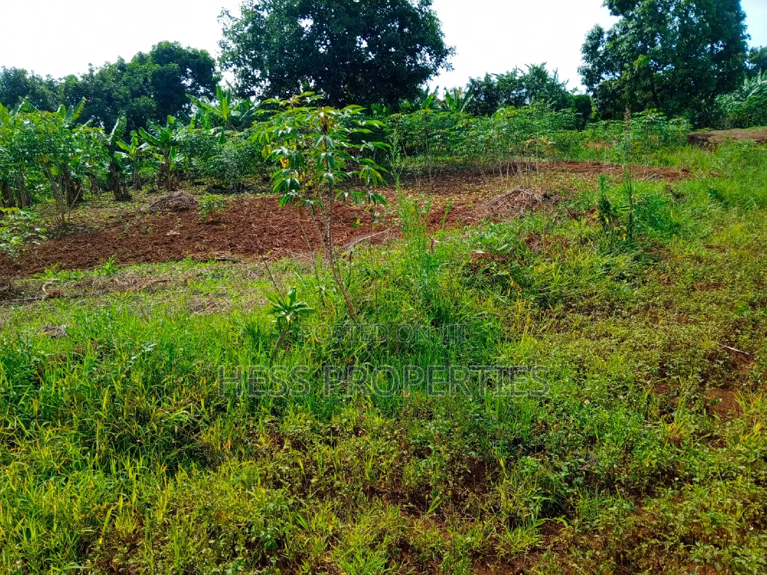 5acres of Titled Land on Sale Located in Kaihura Town in Kyenjojo