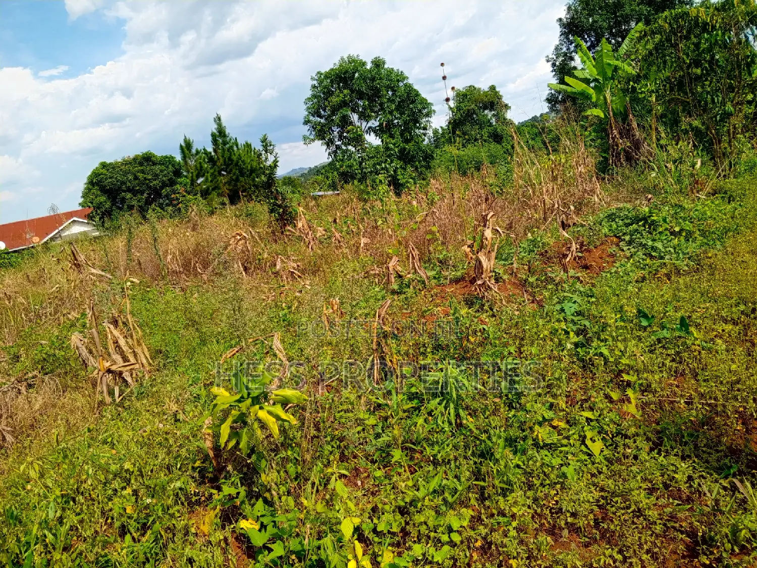 5acres of Titled Land on Sale Located in Kaihura Town in Kyenjojo