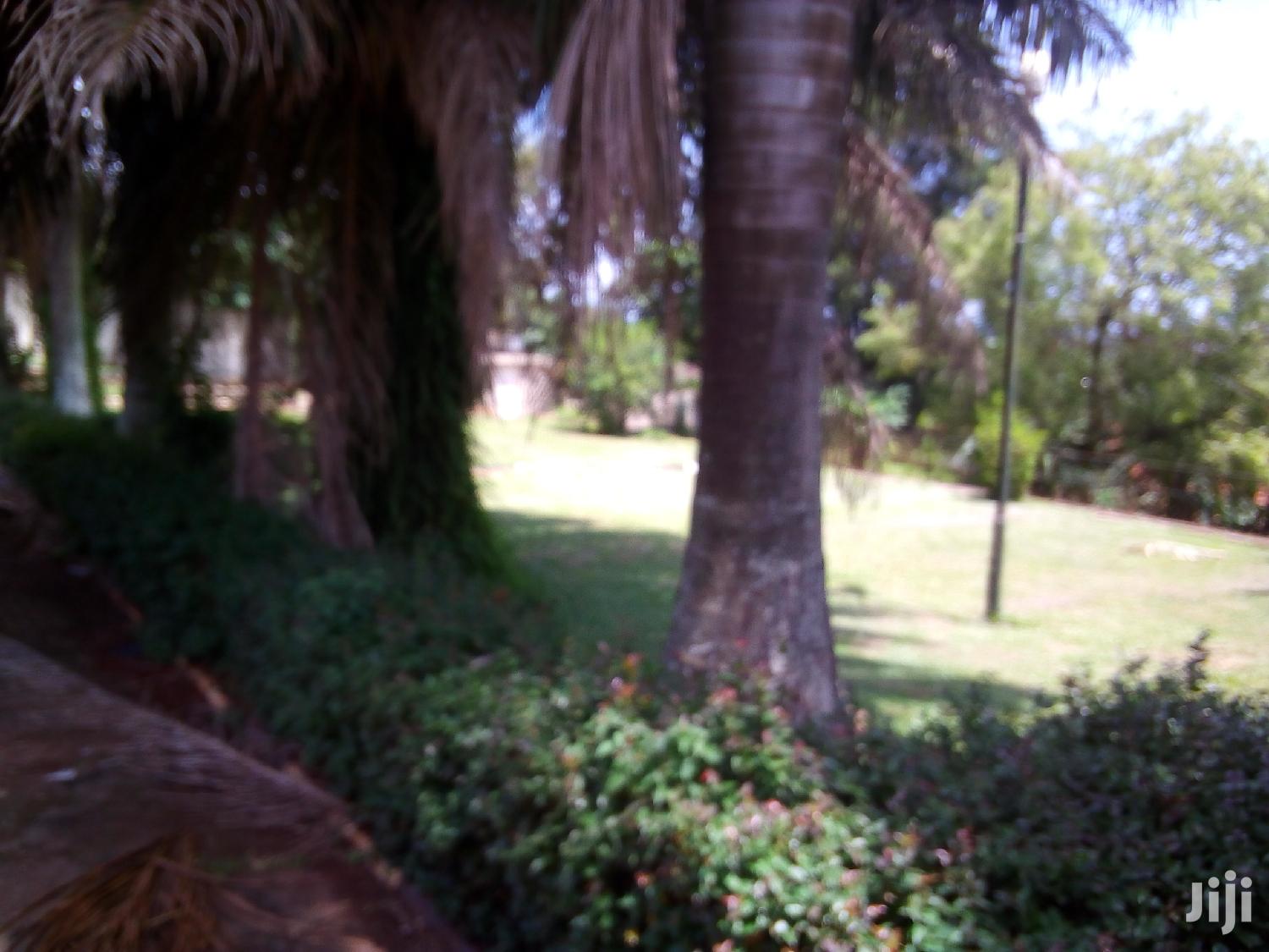 House In Ntinda For Rent in Kampala