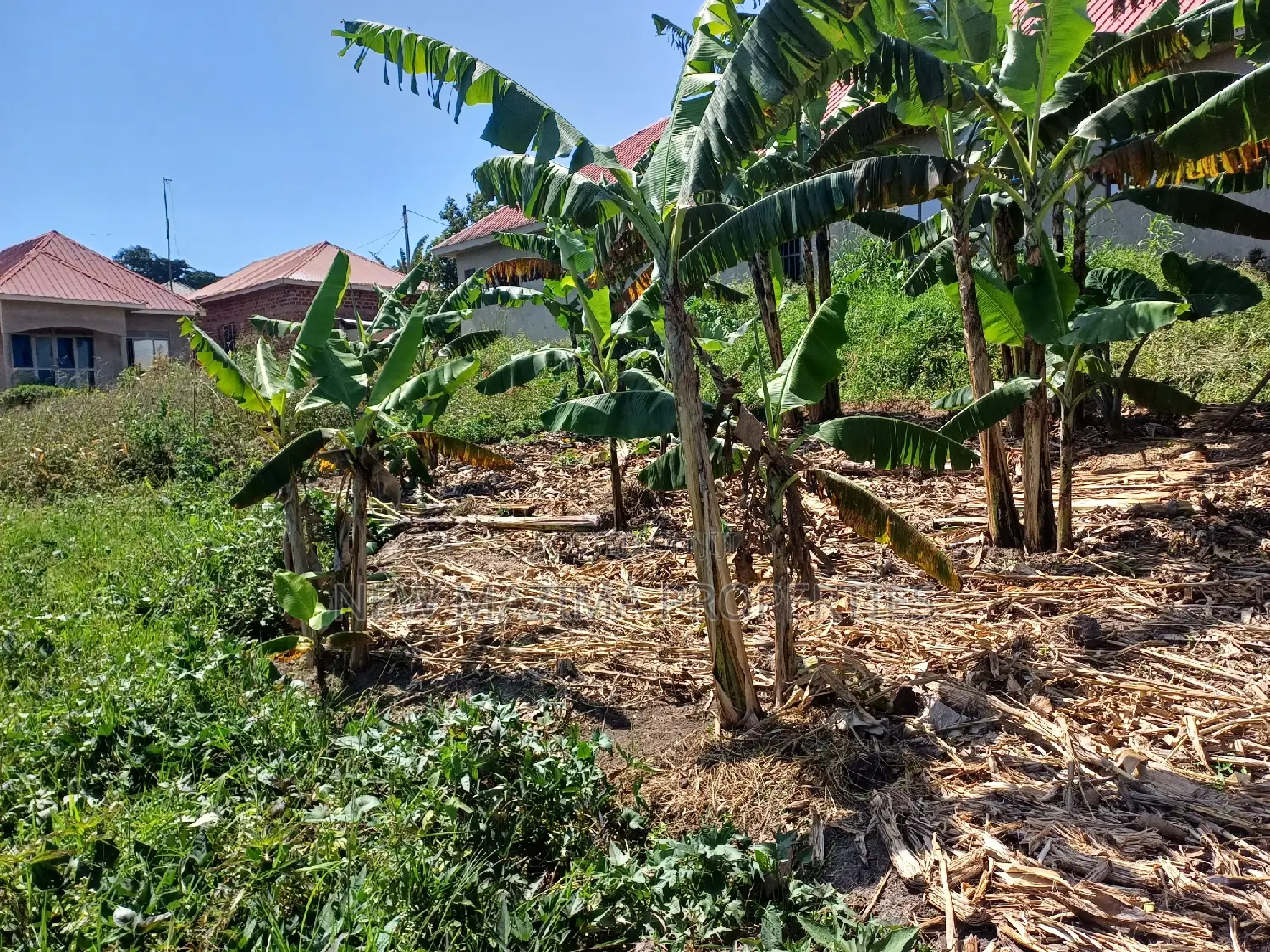 Affordable Plot on Quick Sale in Nsangi Near Police Post in Division A