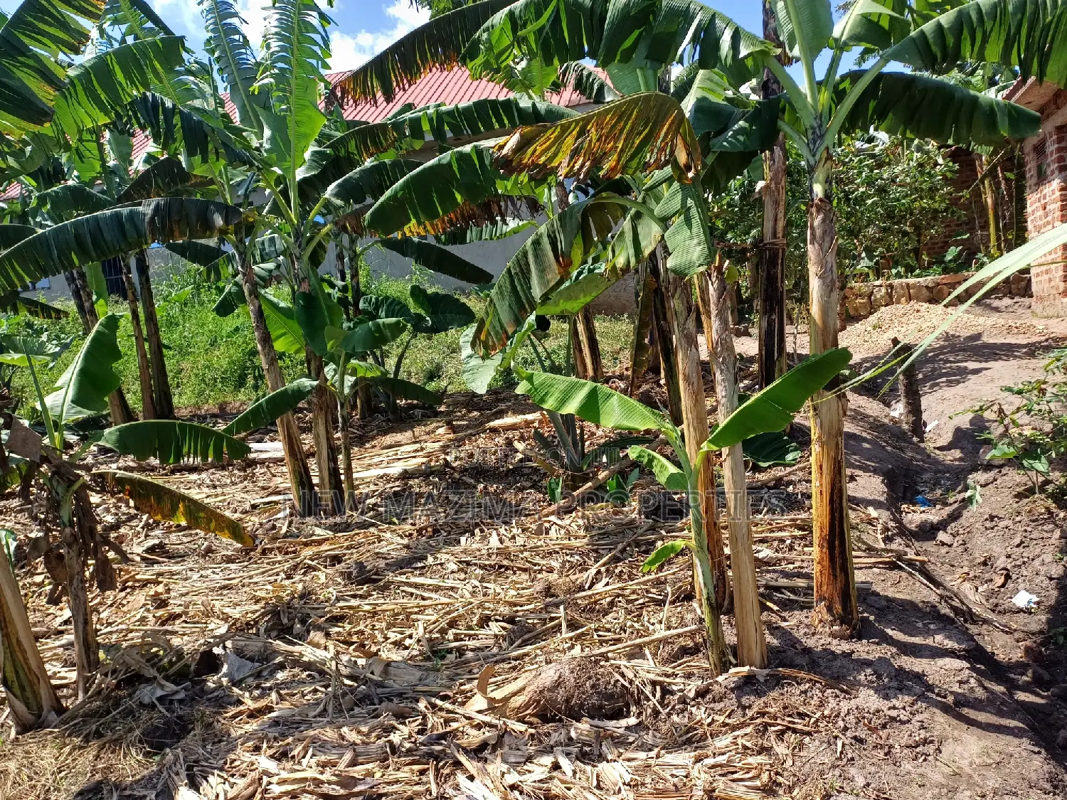 Affordable Plot on Quick Sale in Nsangi Near Police Post in Division A